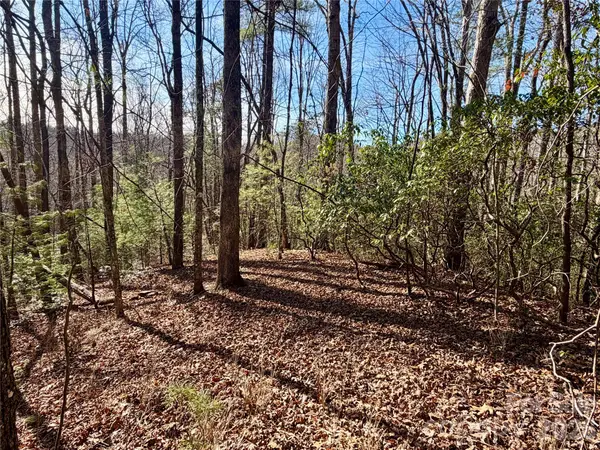 Lot 48 Fox Den RD, Brevard, NC 28712
