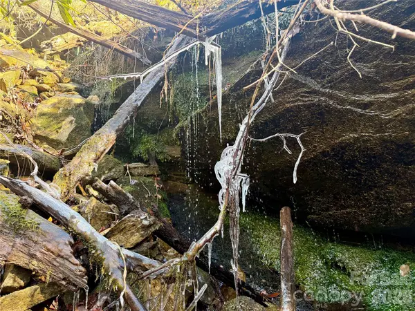Lot 48 Fox Den RD, Brevard, NC 28712
