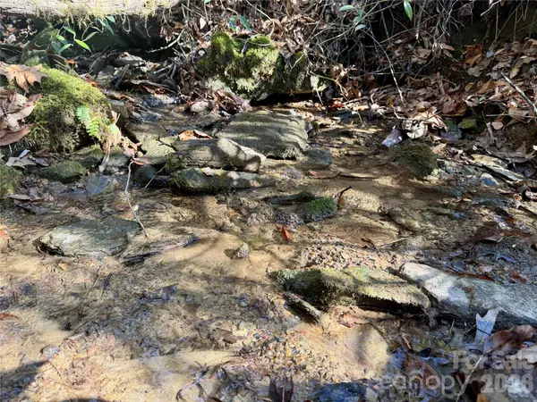 Lot 48 Fox Den RD, Brevard, NC 28712