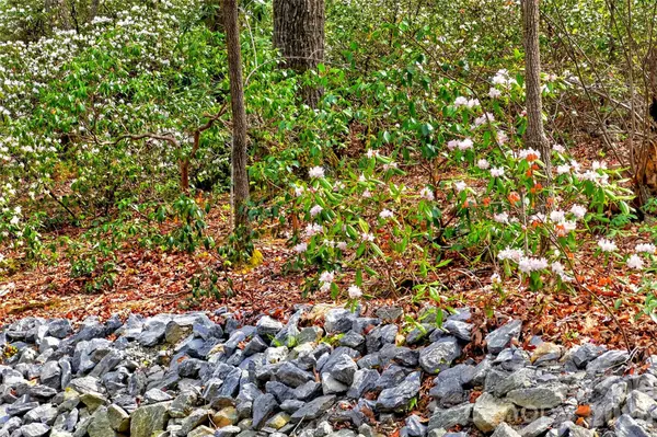 1413 Golf Course RD #24A, Old Fort, NC 28762