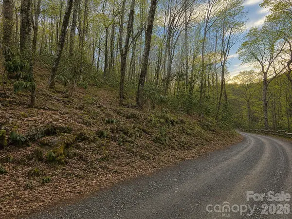 10 Tall Oaks DR #58A & 58B, Maggie Valley, NC 28751