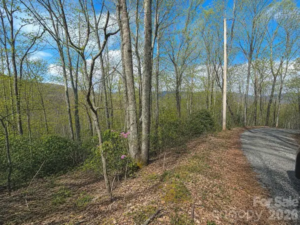 10 Tall Oaks DR #58A & 58B, Maggie Valley, NC 28751