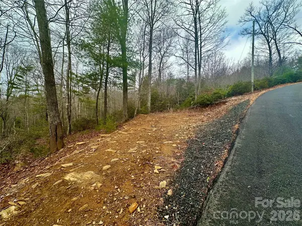 000 Orchard View TRL #11, Spruce Pine, NC 28777