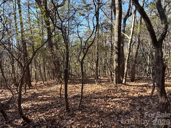 TBD Bobcat Mountain RD #27, Purlear, NC 28665