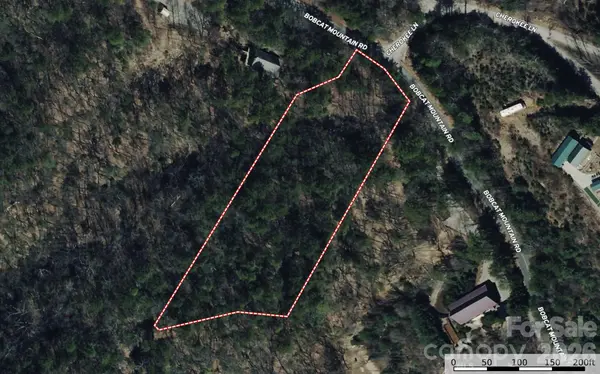 TBD Bobcat Mountain RD #27, Purlear, NC 28665