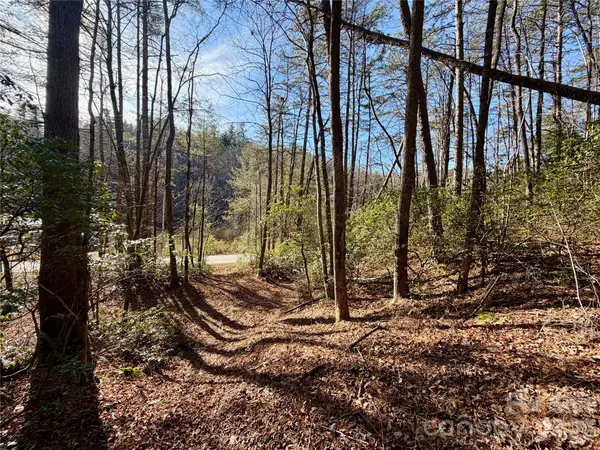 lots 35, 36 & 37 Fox Den RD #35,36,37, Brevard, NC 28712