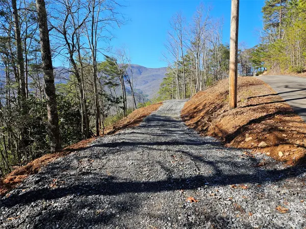 000 Blue Vista RD, Canton, NC 28716