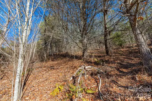 999 Rosalie LN #6, Waynesville, NC 28785