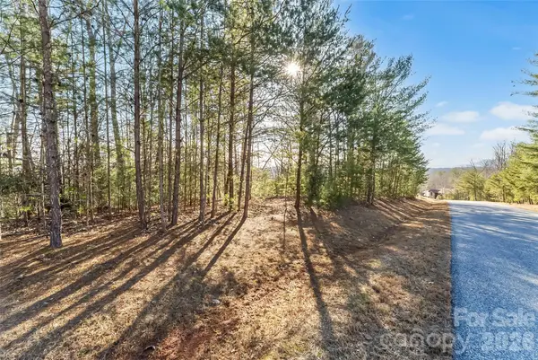 961 High Trail DR #35-11, Nebo, NC 28761