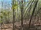 Lot 4 Hibiscus CT, Lake Lure, NC 28746