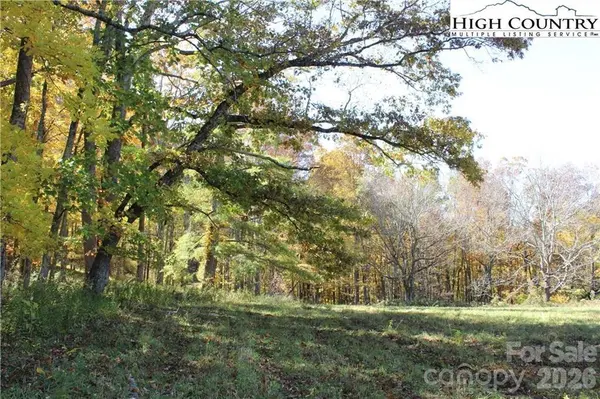 TBD MCNeill RD, Lansing, NC 28643