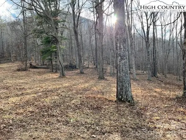 TBD MCNeill RD, Lansing, NC 28643