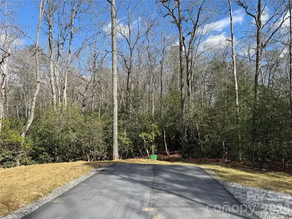 Tract 3 Turtle Ridge TRL, Mills River, NC 28759