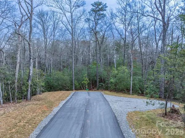 Tract 2 Turtle Ridge TRL, Mills River, NC 28759