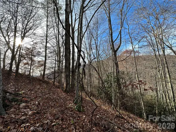 00 Rock House Cove RD #2, Clyde, NC 28721