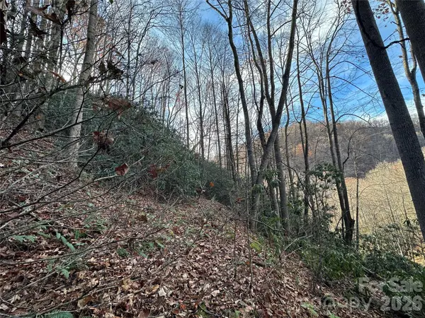 00 Rock House Cove RD #2, Clyde, NC 28721