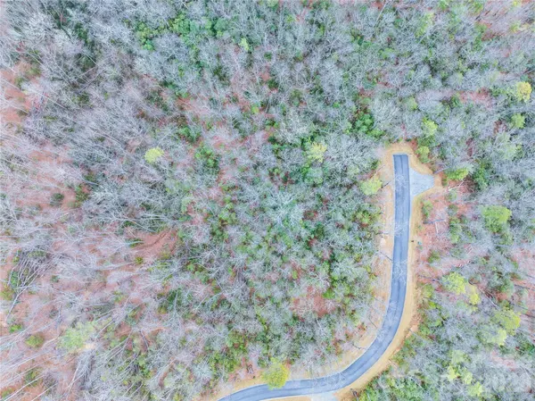 Tract 1 Turtle Ridge TRL, Mills River, NC 28759
