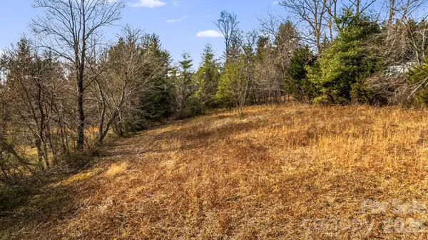 1236 Upper Brush Creek RD, Fairview, NC 28730