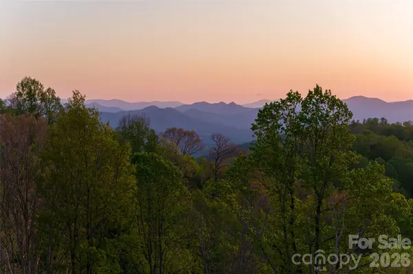 99999 Elk Mountain Scenic HWY #1 & 2, Asheville, NC 28804