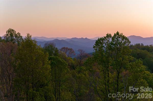 99999 Elk Mountain Scenic HWY #1 & 2, Asheville, NC 28804
