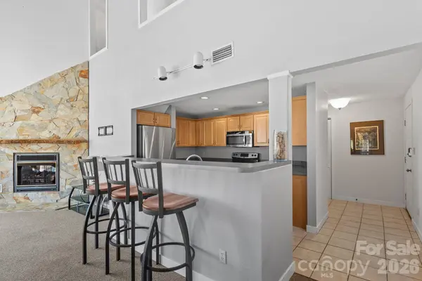 299 Blue Ridge DR S #3, Marion, NC 28752