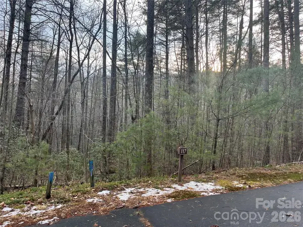 Lot 117 Huckleberry Ridge LN, Zirconia, NC 28790