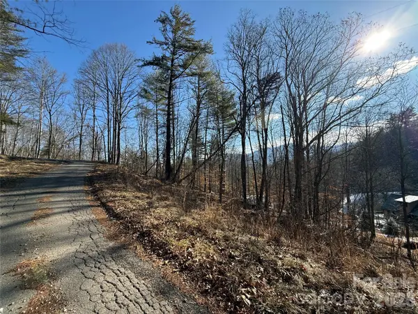 999 Echo Hill DR #4, Green Mountain, NC 28740