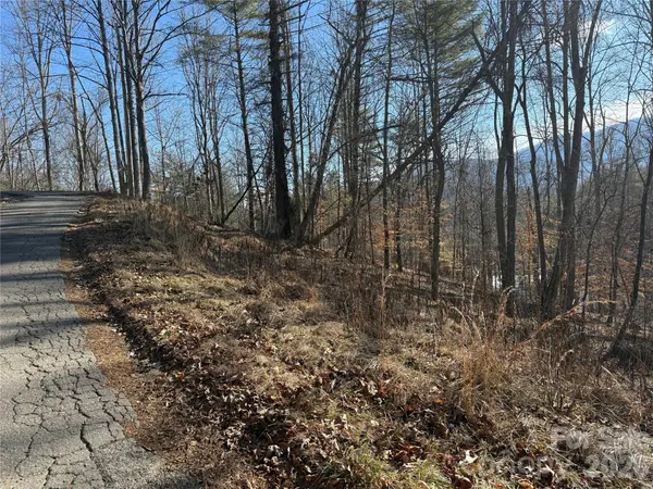 999 Echo Hill DR #4, Green Mountain, NC 28740