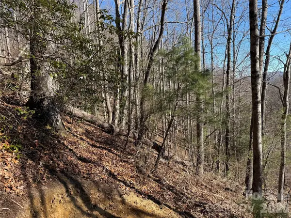 33 High Point TRL, Brevard, NC 28712
