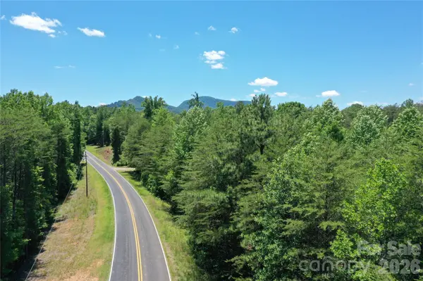 0 Burt Blackwell RD, Mill Spring, NC 28756