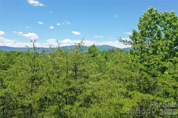 0 Burt Blackwell RD, Mill Spring, NC 28756