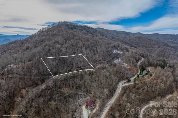 00 Curry Comb TRL #518, Waynesville, NC 28785