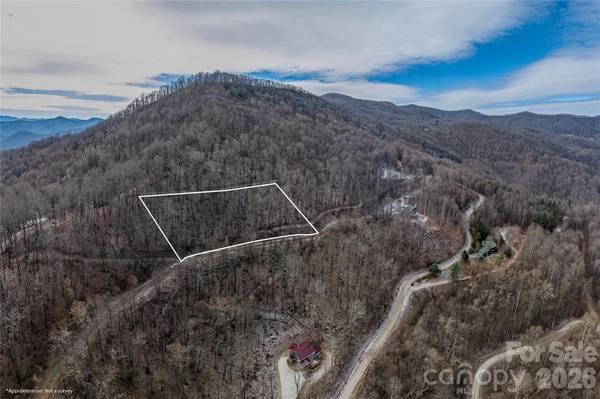 00 Curry Comb TRL #518, Waynesville, NC 28785