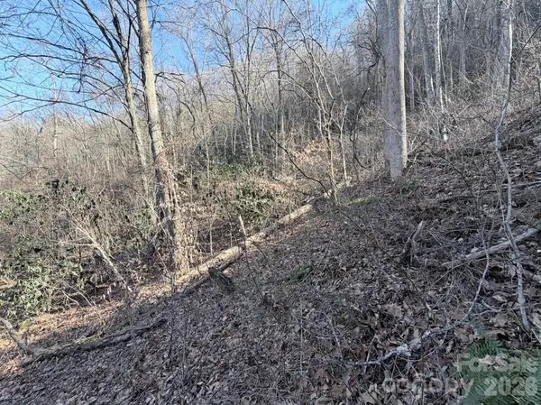 76 View Ridge Pkwy #7, Leicester, NC 28748