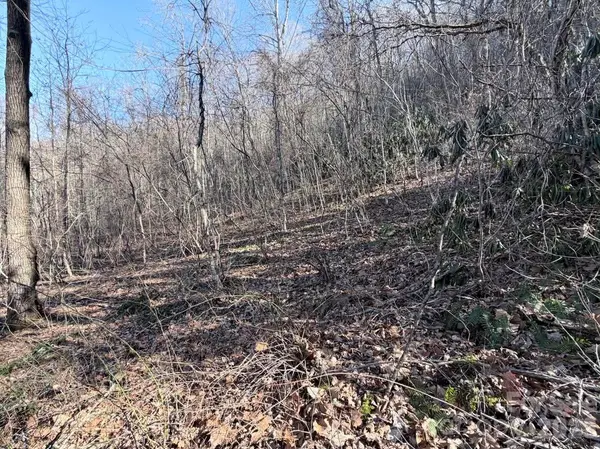 76 View Ridge Pkwy #7, Leicester, NC 28748