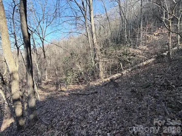 76 View Ridge Pkwy #7, Leicester, NC 28748