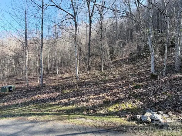 76 View Ridge Pkwy #7, Leicester, NC 28748