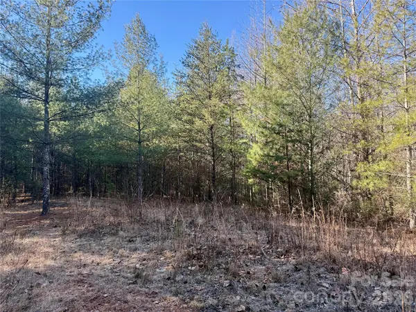 2095 Hitching Post TRL #G45, Lenoir, NC 28645