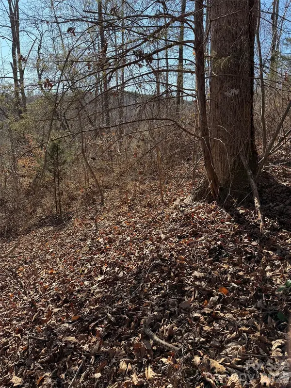 000 E Rambling Creek RD #11, Tryon, NC 28782
