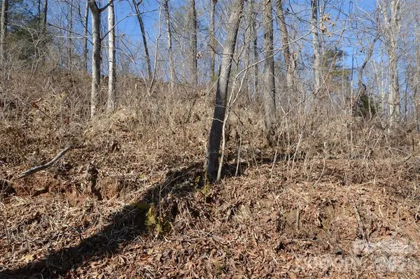 000 E Rambling Creek RD #11, Tryon, NC 28782