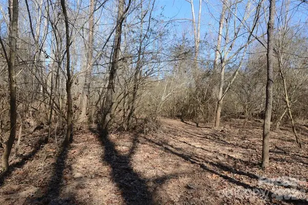 000 E Rambling Creek RD #11, Tryon, NC 28782