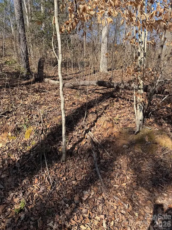 000 E Rambling Creek RD #11, Tryon, NC 28782
