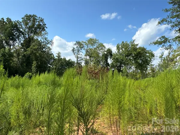 134 W McBrayer LN, Mooresboro, NC 28114