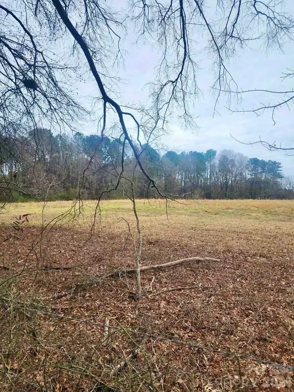 0 Spies RD, Star, NC 27356