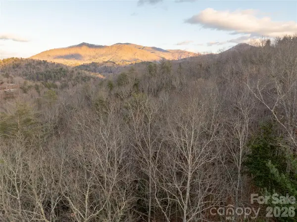 9180 Lower Alarka RD, Bryson City, NC 28713