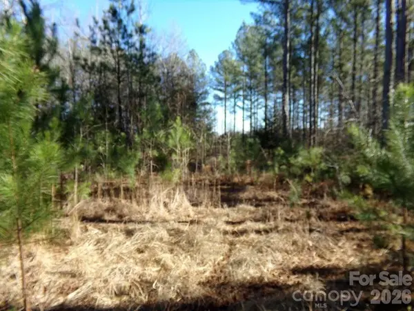 42 Ac Hwy 55 HWY, Clover, SC 29710