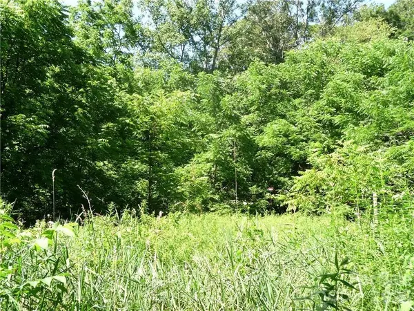3771 US Highway 421 HWY N, Vilas, NC 28692
