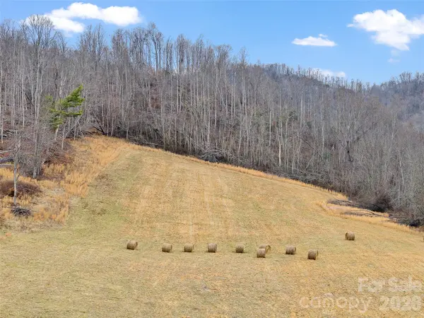 784 Green Young Cemetery RD, Bakersville, NC 28705