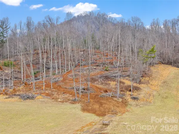784 Green Young Cemetery RD, Bakersville, NC 28705