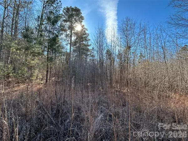 38 AC Mountain Gap RD, Richburg, SC 29729